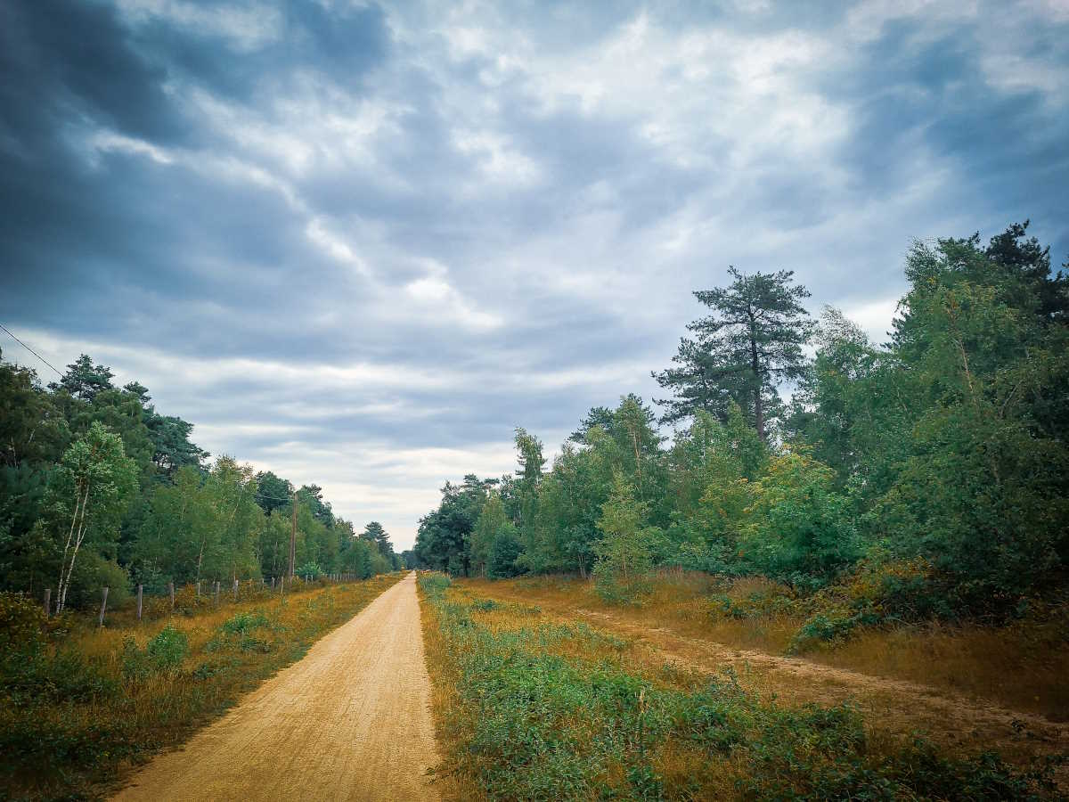 Sfeerfoto